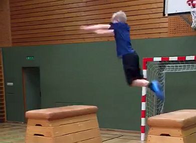 NinjaWarrior1